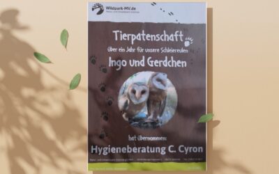 Meine Herzensangelegenheit: Tierpatenschaft im Wildpark-MV für Schleiereulen Ingo & Gerdchen